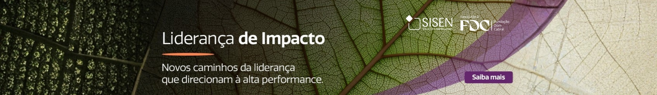 Imagem de banner do produto PAEX