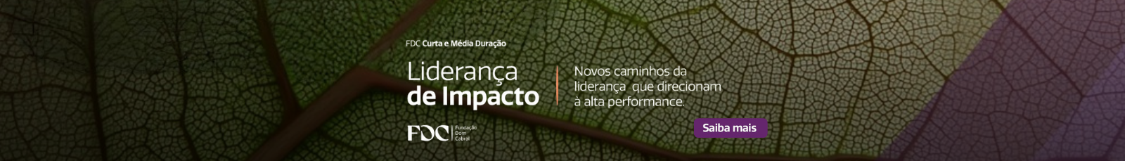 Imagem de banner do produto PAEX
